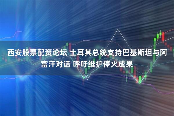 西安股票配资论坛 土耳其总统支持巴基斯坦与阿富汗对话 呼吁维护停火成果